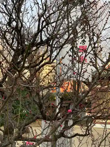 諏訪神社(東京都)