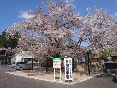 長安寺の景色