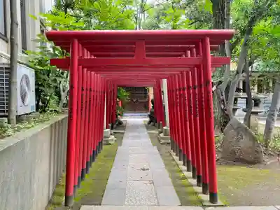 富岡八幡宮の鳥居