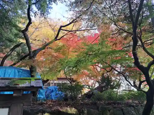 萬寿寺（お不動さん）の自然