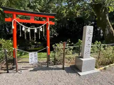 鷲宮神社(埼玉県)