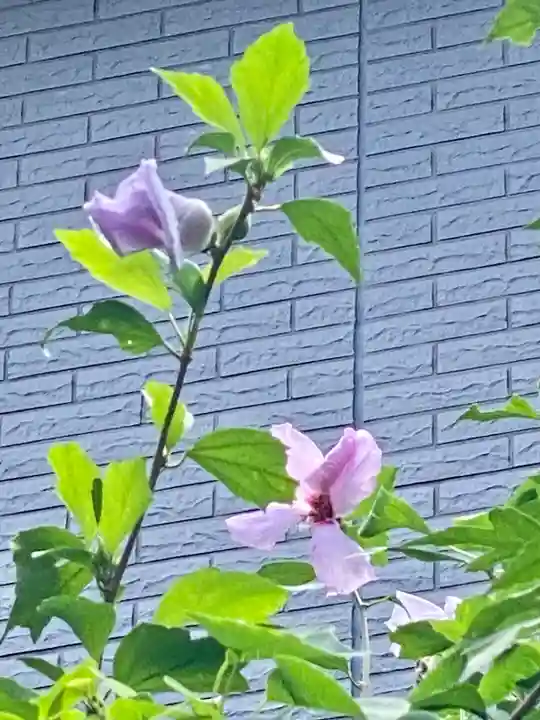 梨木神社の自然