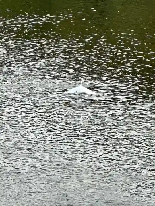 伊勢神宮内宮(皇大神宮)(三重県)