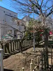 相模原氷川神社の自然