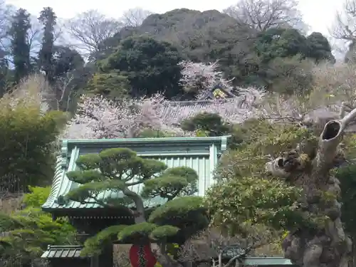 長谷寺のその他建物