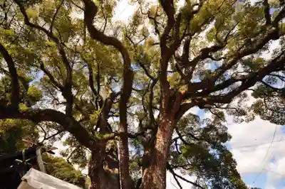 艮神社(広島県)