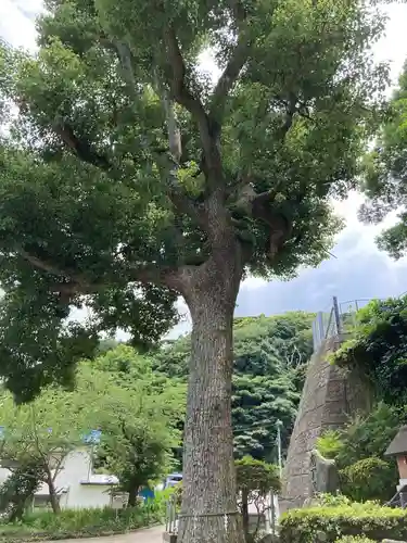 走水神社の自然