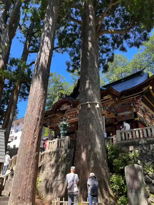三峯神社(埼玉県)
