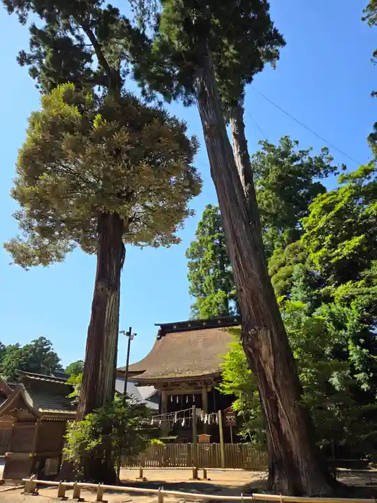 鹿島神宮(茨城県)