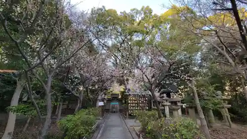 射楯兵主神社のその他建物