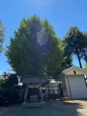 小野神社(東京都)