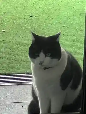 榛名神社(群馬県)