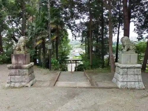 西八朔杉山神社の狛犬