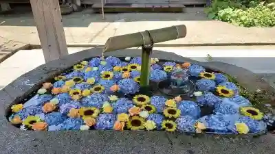 荘内神社の手水舎