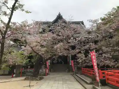 金剛宝寺（紀三井寺）の本殿・本堂
