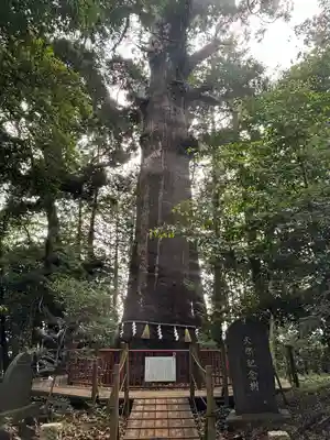 麻賀多神社(千葉県)