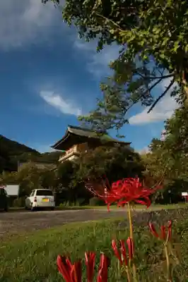 西福寺のその他建物