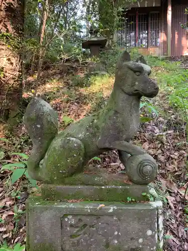 飯縄神社の狛犬