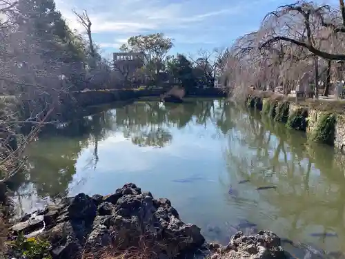 三嶋大社の庭園