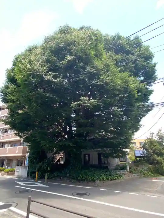 小野神社の自然