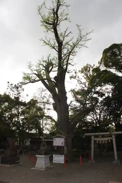 大宮神社(千葉県)