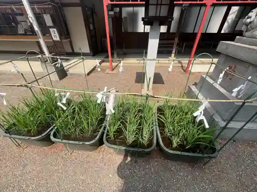 前川神社(埼玉県)