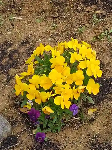 大鏑神社の自然