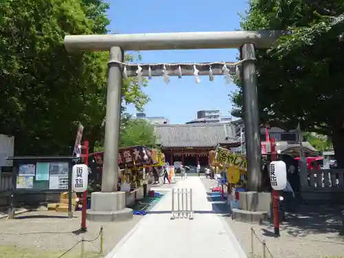 浅草神社のお祭り