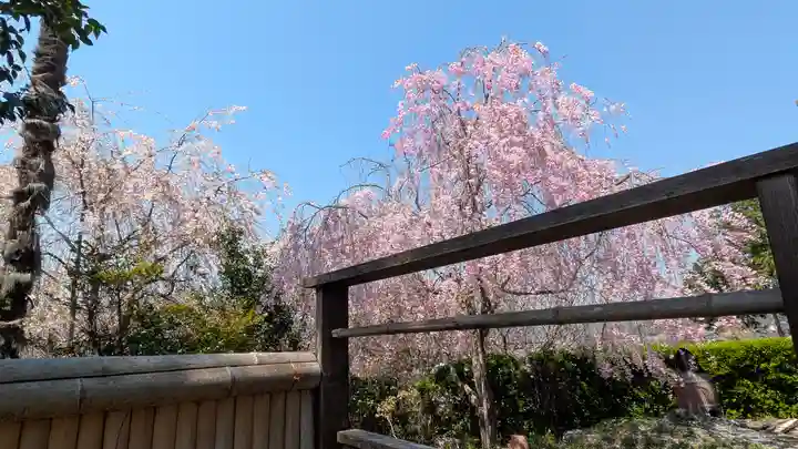 圓光寺(京都府)