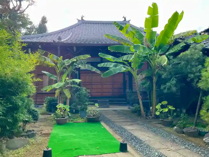 洞雲寺(東京都)