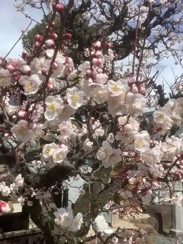 寳藏院の庭園