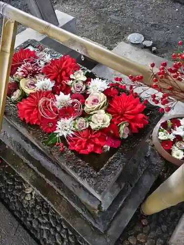 相模原氷川神社(神奈川県)