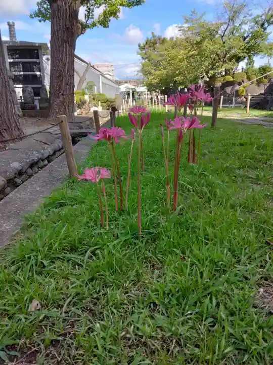 横浜 西方寺(神奈川県)