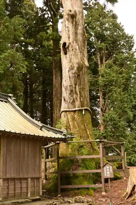 身延山奥之院思親閣(山梨県)