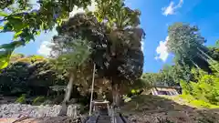 小讃岐神社(福井県)