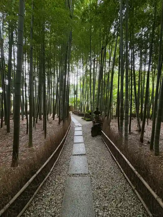 報国寺の{uncategorized: "未分類", other: "その他", undefined: "問題あり", building: "その他建物", grave: "お墓", sacred_gate: "鳥居", guardian: "狛犬", statue: "像", buddha: "仏像", history: "歴史", nature: "自然", garden: "庭園", animal: "動物", pagoda: "塔", temizu: "手水舎", mountain_gate: "山門・神門", sanctuary: "本殿・本堂", subordinate: "末社・摂社", art: "芸術", scenery: "景色", jizo: "地蔵", ema: "絵馬", goshuin: "御朱印", omikuji: "おみくじ", items: "授与品その他", amulet: "お守り", goshuincho: "御朱印帳", eats: "食事", festival: "お祭り", votive_dance: "神楽", shichigosan: "七五三参", wedding: "結婚式", experience: "体験その他", initially: "初詣", around: "周辺", anti_infection: "感染症対策"}
