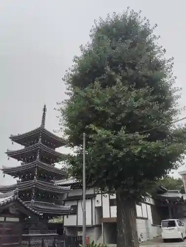 光徳院(東京都)