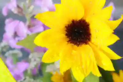 三津厳島神社の手水舎