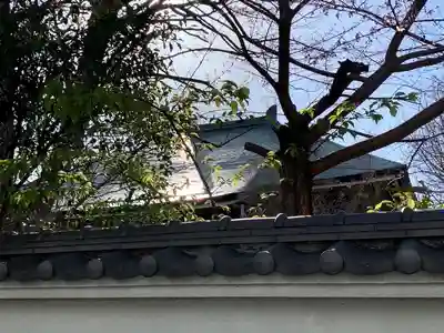 雲光院(東京都)