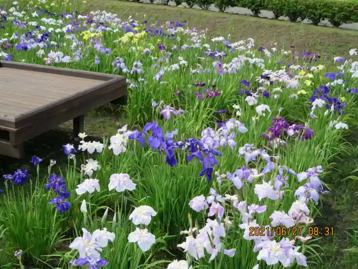 大鏑矢神社の自然