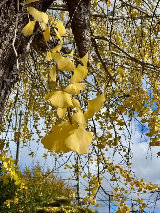 和田神社(滋賀県)