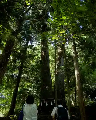 戸隠神社火之御子社(長野県)