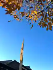 白鳥神社(長野県)