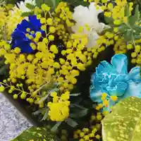 豊景神社の自然