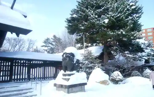 札幌護國神社の狛犬