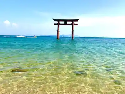 白鬚神社の鳥居