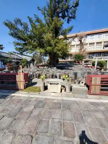 浄運寺(群馬県)