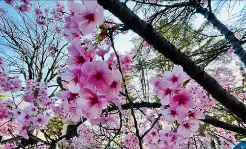 眞田神社(長野県)