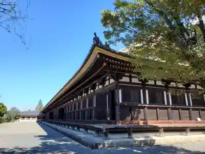 蓮華王院(三十三間堂)の本殿・本堂