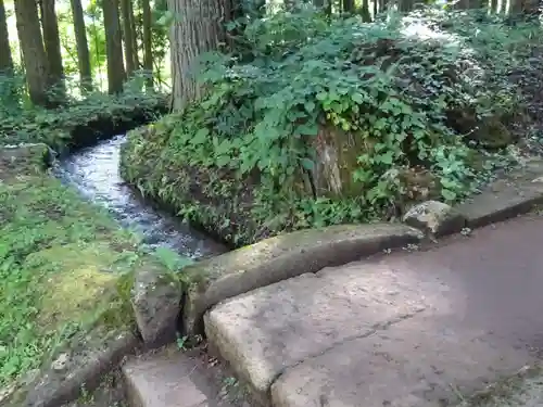 高倉神社の自然